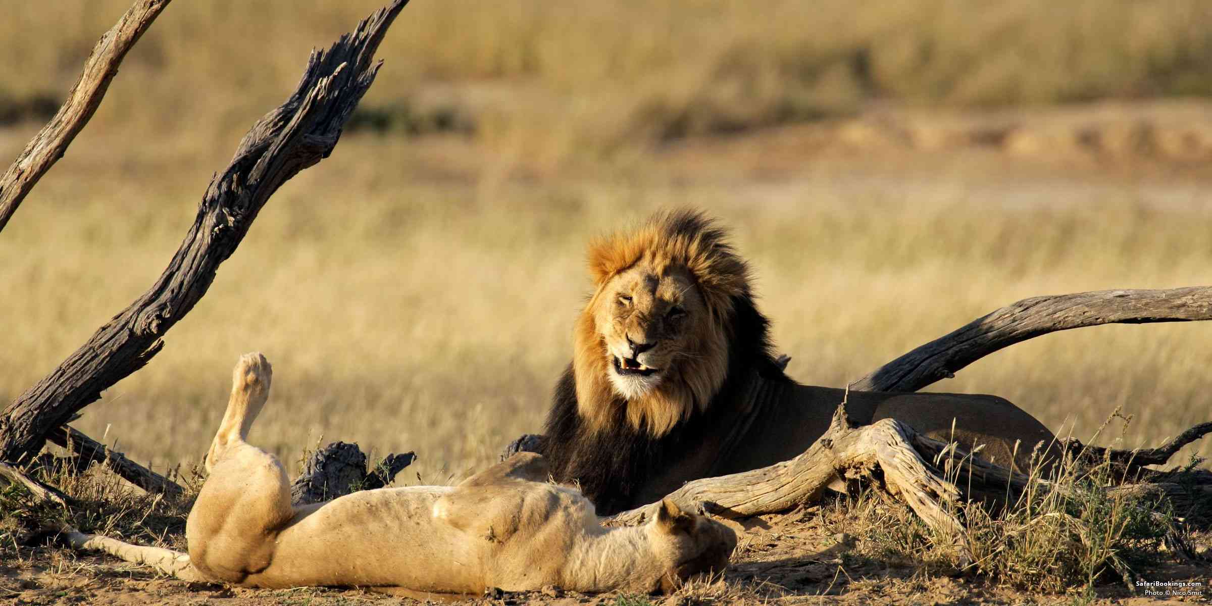 Botswana
