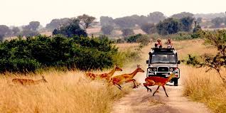 Transportation Services
